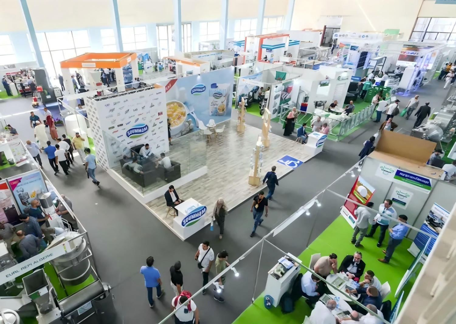 阿尔及利亚畜牧展(1)