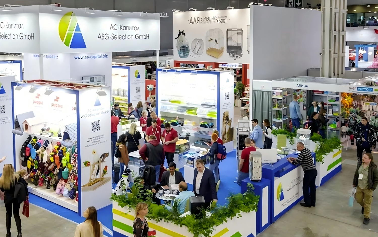 俄罗斯宠物(1) 俄罗斯宠物(1)