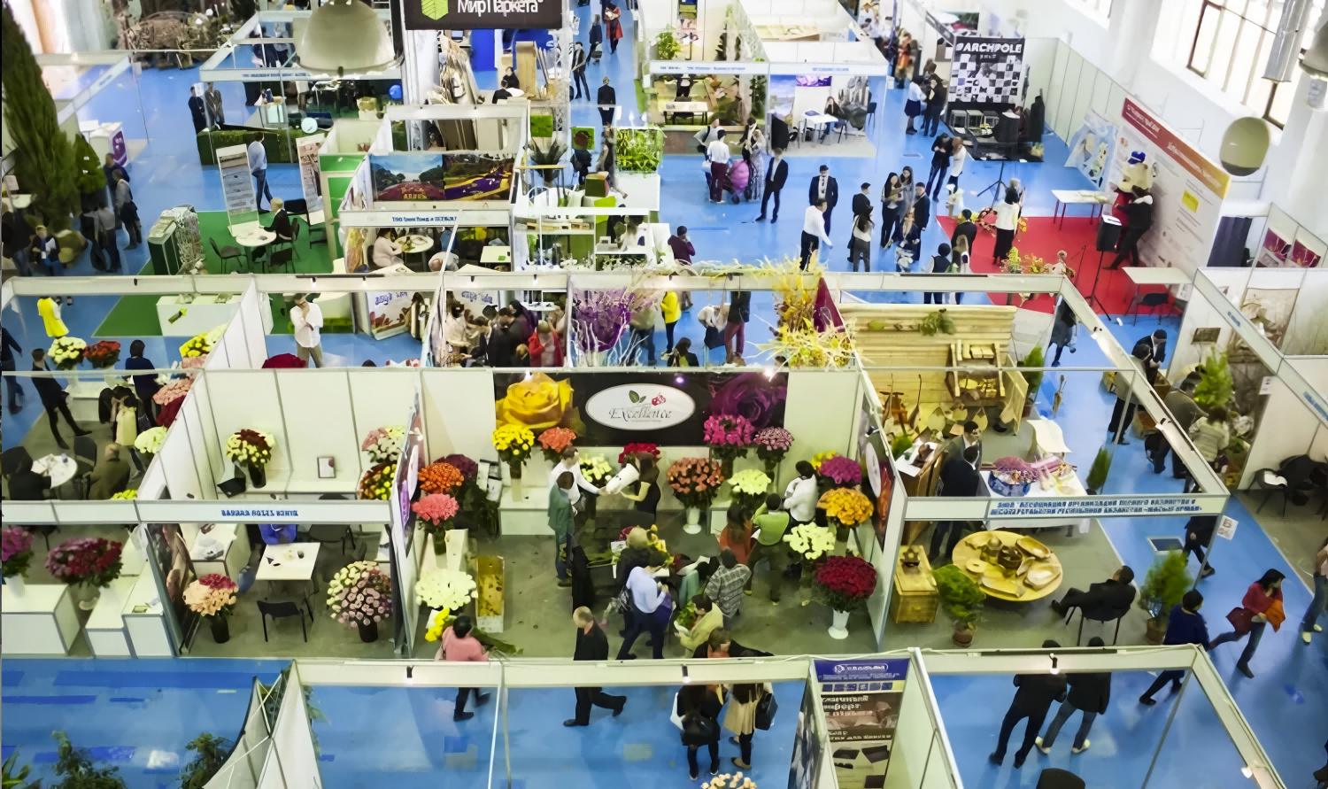 哈萨克斯坦花卉(1) 哈萨克斯坦花卉(1)