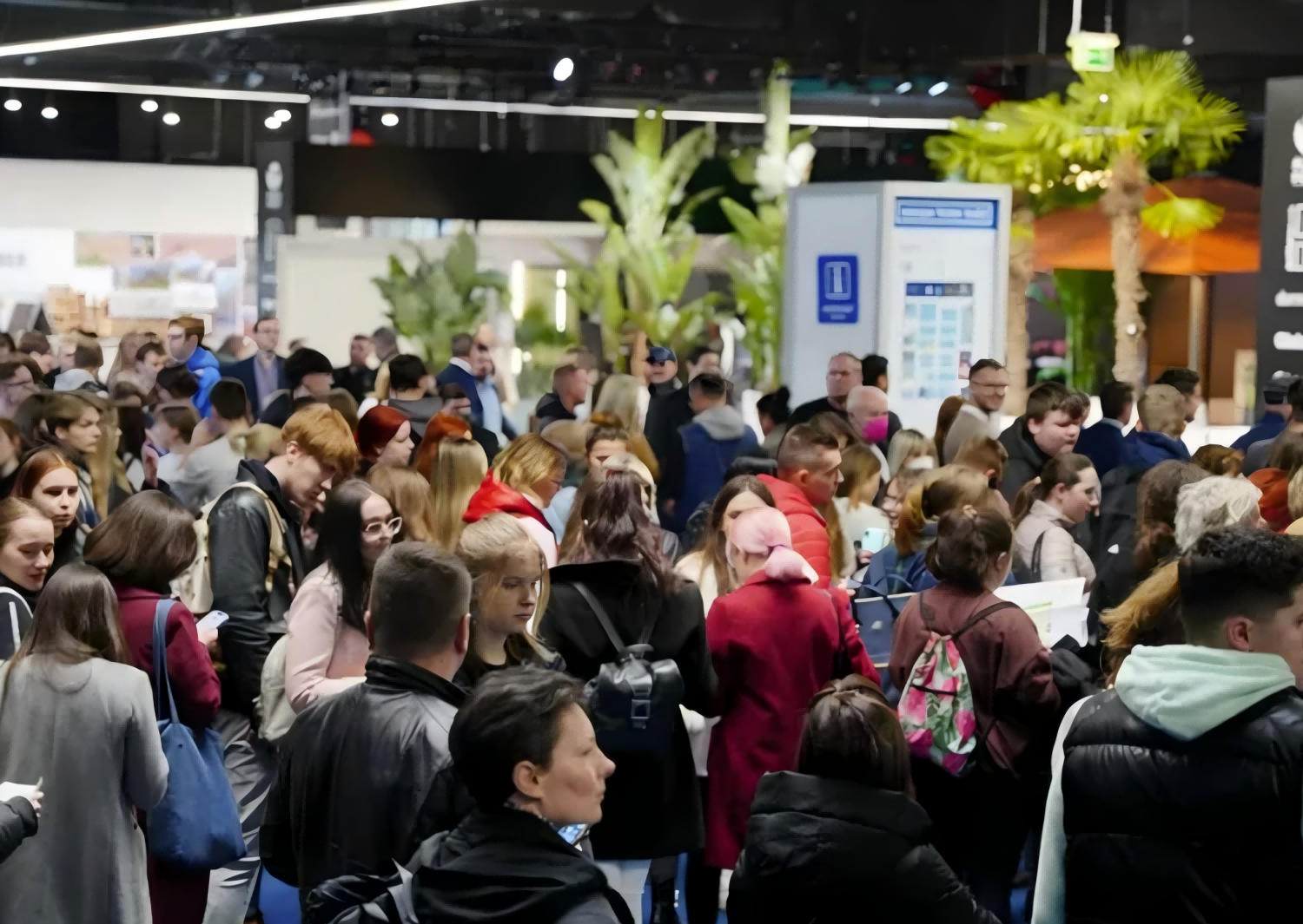 波兰电池(1) 波兰电池(1)